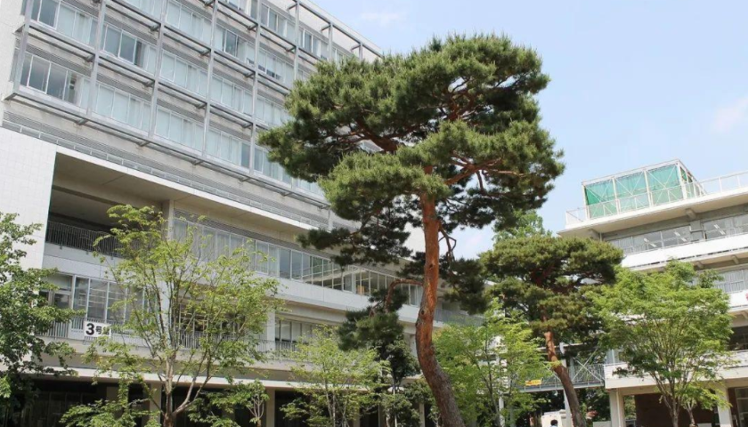 日本美術(shù)課程